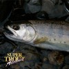 VARIVAS (バリバス) Nylon Line VARIVAS Super Trout Advance 100m 0.5号
