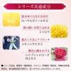 Yamada Apiary Bee Make Powder Funde Set, Beige (Exclusive Case