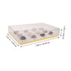 Gatuida Geology Classroom Essentials 12-Pack Mineral Rock Specimens for Display