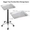 Salon Tray with Metal Feet, Height Adjustable Salon Tray on