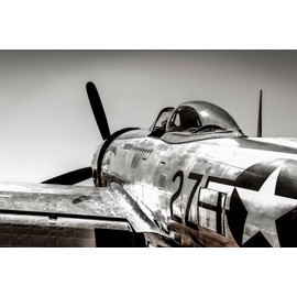 WWII Aircraft Photography, Wall Art on Canvas, P-47D Thunderbolt, 20"x30" Framed