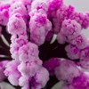 Mad Monkey Magic Sakura Tree Artificial Cherry Blossom Tree Aesthetic
