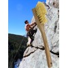 MAAJ Horseshoe Brush/Climbing Shirt Brush with Natural Fibres – Made