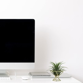 JXQGQ 20 PCS Air Plants Holders Unique Geometric Metal Plant Stands Airplants Container Live Air Fern Display Racks Small Decor Items for Shelf (Gold)