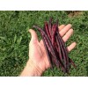 Wax & Top Notch TOP PICK Pinkeye Purple Hull Peas