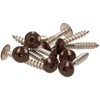 100 x MEISTERLING® Facade Screws INOX V2A 4.8 x 32
