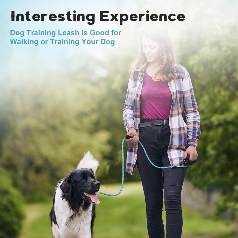 Amrules 6 FT Dog Training Leash Durability No Pull Polyester