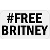 Hashtag Free Britney - 25 Stickers Pack 2.25 x 1.25
