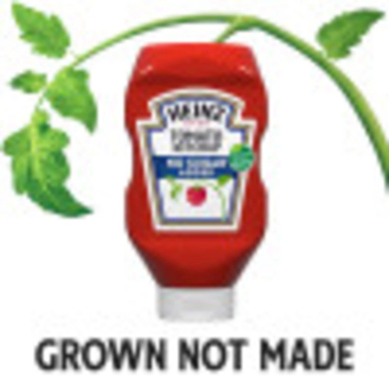 Heinz Tomato Ketchup with No Sugar Added, 29.5 oz Bottle,