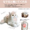 Wellfan Nadeneko-chan Elegance (Ringing, Realistic Plush), Cats, Communication, Pet Loss,