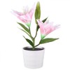 Solar LED Artificial Lily Lamp Simulation Bonsai Decor Flower Light
