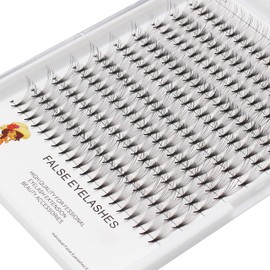 Vayator 10-18mm to Choose Premade Russian Volume Fans Lashes 6D/10D/12D/14D/20D Makeup Personal Eyelash String Grafted Eyelash Extension Clusterr (14P-10MM)