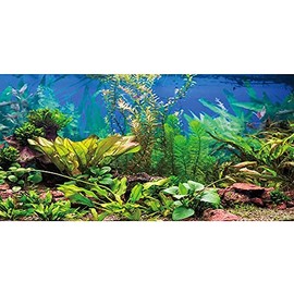 AWERT 48x24 inches Aquarium Background Aquatic Plant River Bed & Lake Fish Tank Background Vinyl