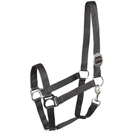 PFIFF 101668 Kunststoffhalfter, Halfter aus Kunststoff, stufenlose Verstellmöglichkeit am Genickstück, gute strapazierfähige Qualität, Schwarz, Cob