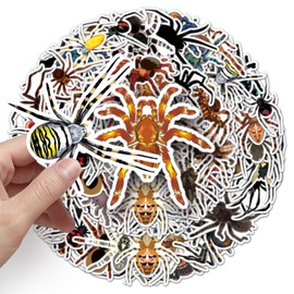 Pack of 50 Spider Stickers Car Laptop Phone Guitar Skateboard Motorcycle Bicycle Spider Stickers Set Vinyl Waterproof Aesthetic Stickers for Teenagers Children Adults