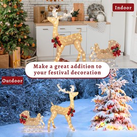 Shintenchi Christmas Lighted Reindeer and Sleigh Decor,Outdoor Christmas Light Decoration Set w/ 200 LED Lights, Pre-lit Glittered Standing Ornaments for Christmas Garden Patio Yard Front Door Indoor