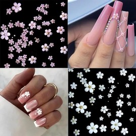 Chunmeng 12 Grid 3D Acrylic Colorful Nail Decoration Flower Nail Accessories DIY Nail Art Accessories for Women 2 Box 1 Pair Of Tweezers
