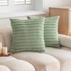Faux Fur Throw Pillow Covers – Set of 2 Plush