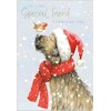 SPECIAL FRIEND Dog and Robin Christmas Card