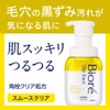 [Large Capacity] Biore The Face Foam Cleansing Smooth Replacement Large