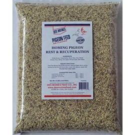 Homing Pigeon Rest & Recuperation Mix (10.5%) 8 lbs