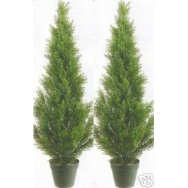 Two 3 Foot Artificial Cedar Topiary Trees Potted Indoor or Outdoor