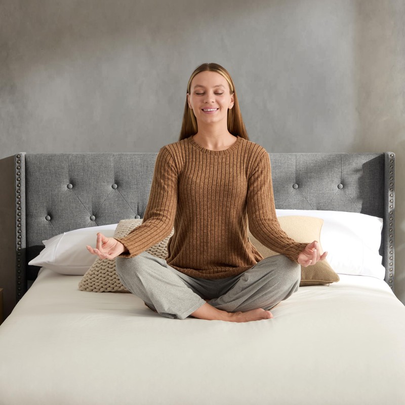 Hearth & Harbor Queen Bed Frame with Headboard Wingback –