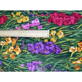 Northcott Flower of the Month quilt fabric by Ro Gregg for Northcott 2826-01 August
