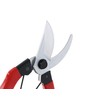 Takagi Sunflower Factory x TAKAGI Pruning Shears, 7.9 inches (200