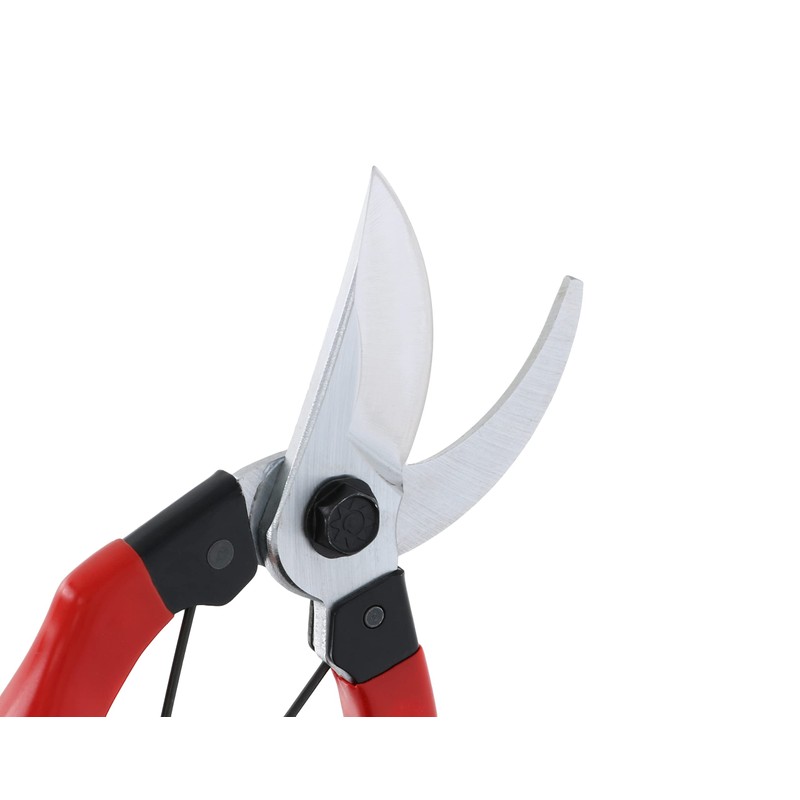 Takagi Sunflower Factory x TAKAGI Pruning Shears, 7.9 inches (200