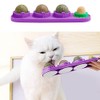 STARROAD-TIM Catnip Wall Ball Catnip Toy for Cats Teeth Clean