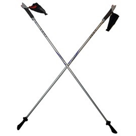 LEKI Nordic Walking Amero Carbon Series Walking Poles Silver 115cm