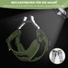 Cat Lead Set for Cats, Polyester Adjustable Cat Harness with