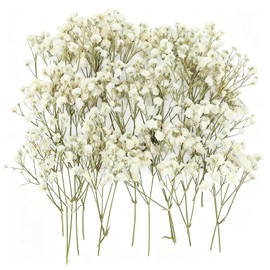 ForestM 100PCS Dried Pressed Flowers,Natural Baby Breath Dried,Dry Flowers