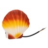 Wall Sconce Modern Minimalist 5W Color Shell IP65 Waterproof Aluminum