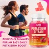 2 Pack Potassium Citrate Gummies 1000mg, Potassium Supplement for Adults