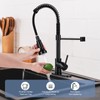 DJS Kitchen Faucets with Pull Down Sprayer Matte Black -