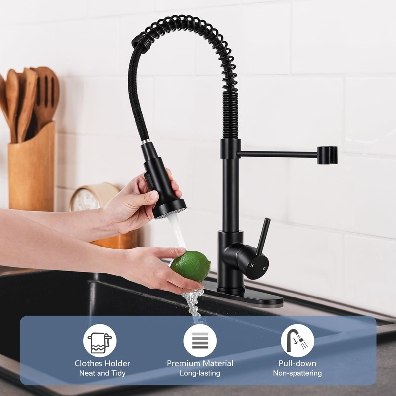 DJS Kitchen Faucets with Pull Down Sprayer Matte Black -
