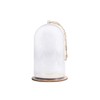 13cm Tall Plastic Bell Jar Cloche with Jute Cord for
