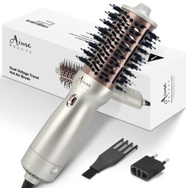 Aima Beauty 4 in 1 Worldwide Travel Hot Air Brush Dual Voltage Blowout Brush Oval Shape 110V-120V/220V-240V Straightener Blow Dryer Brush Ionic Lock Moisture Gift 360° Swivel Cord Champagne Silver