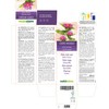 Pink Rock Rose (Cistus incanus) herb Alcohol-Free Mother Tincture Naturalma