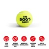 The Dog's Balls, Dog Tennis Balls, Quality Dog Toys, Premium