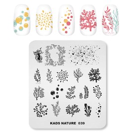 Alexnailart Stainless Steel Nail Stamping Template Manicure Nail Art DIY Decoration