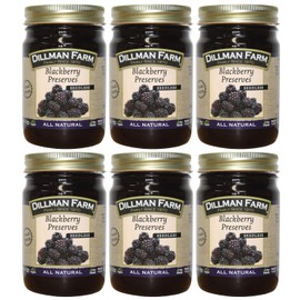 Dillman Farm All Natural Seedless Blackberry Preserves - Gluten-Free, Non-GMO, Vegan, Kosher, Eco-Friendly, Preservative Free, Corn Syrup free - Made in USA, 16oz (Pack of 6)