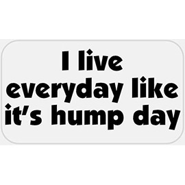 I Live Everyday Like It's Hump Day - 100 Stickers Pack 2.25 x 1.25 inches