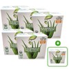 Geoje Organic Aloe Gel 99.9 (100mlx10 packs) 5 boxes + 1 box drinking aloe, 6 boxes, 1L / 거제 유기농 알로에겔99.9 (100mlx10팩) 5박스+1박스 마시는 알로에, 6박스, 1L