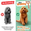 Doodle Brush for Dogs - Goldendoodle Brush with Poodle Comb