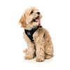 FuzzYard Swat Black Step in Harness for Dogs (Large)