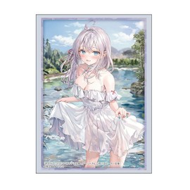 Bushiroad Sleeve Collection High-grade Vol. 4811 Kadokawa Sneaker Bunko "Arya" Part. 3