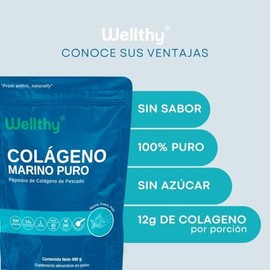 Wellthy Colgeno Marino Hidrolizado 480g. 12g por Porcin, 40 Porciones, 1 Solo Ingrediente, 100 Puro, Scoop Includo, Sugar Free, Bottle Free. Marine,  
